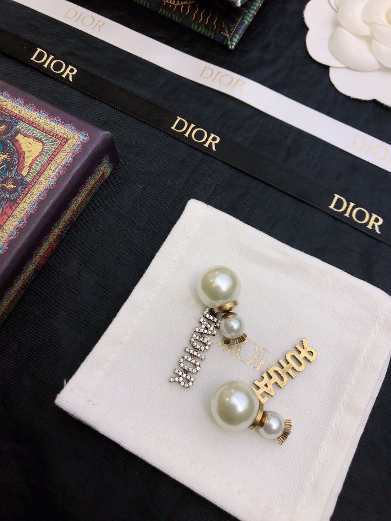 Christian Dior Earrings